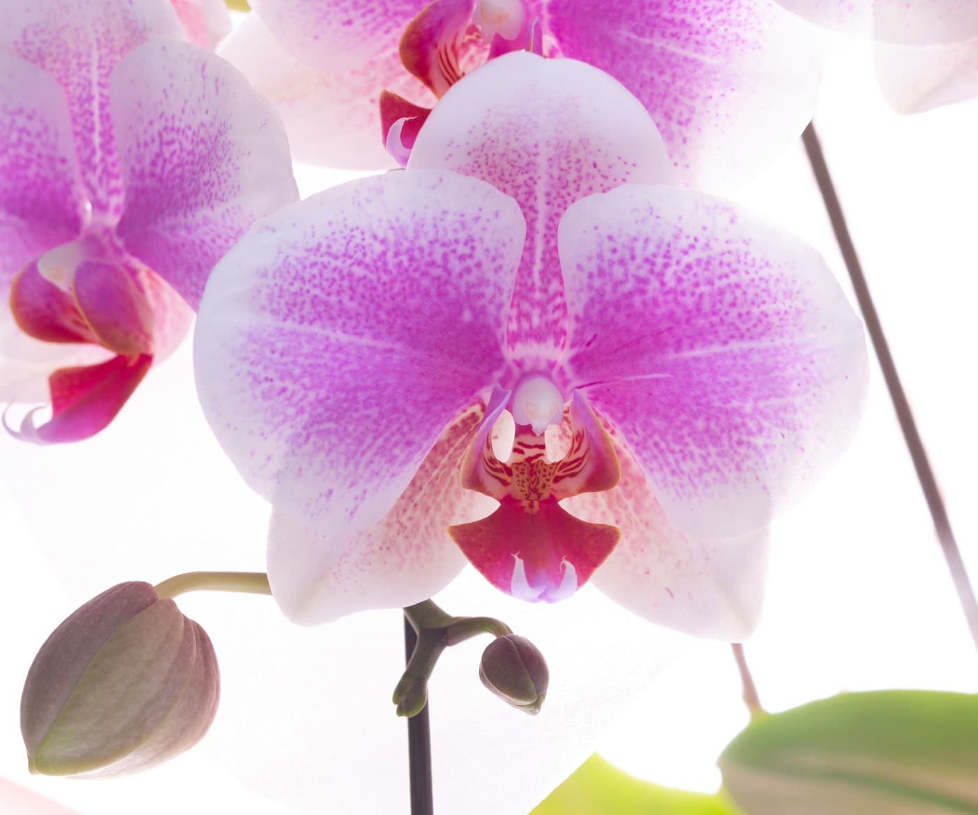 立札とメッセージカード