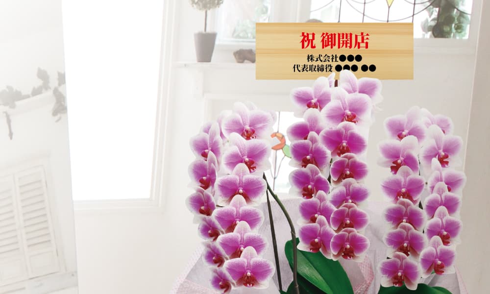 立札とメッセージカード