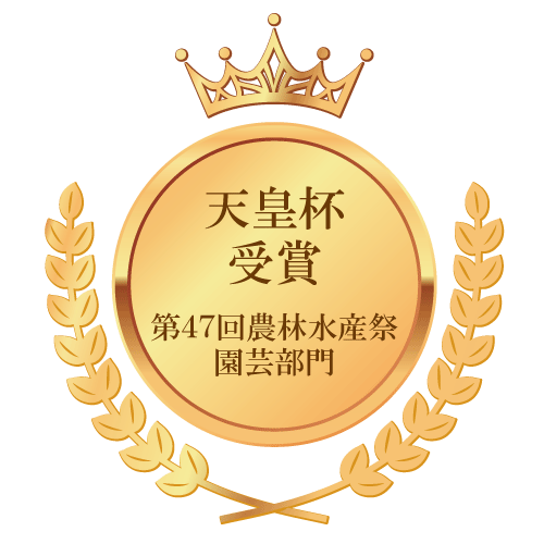 天皇杯受賞バナー