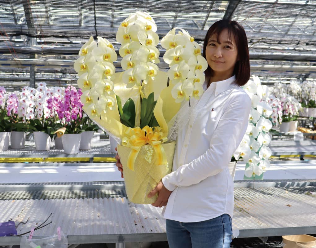 MSDナーセリーの写真