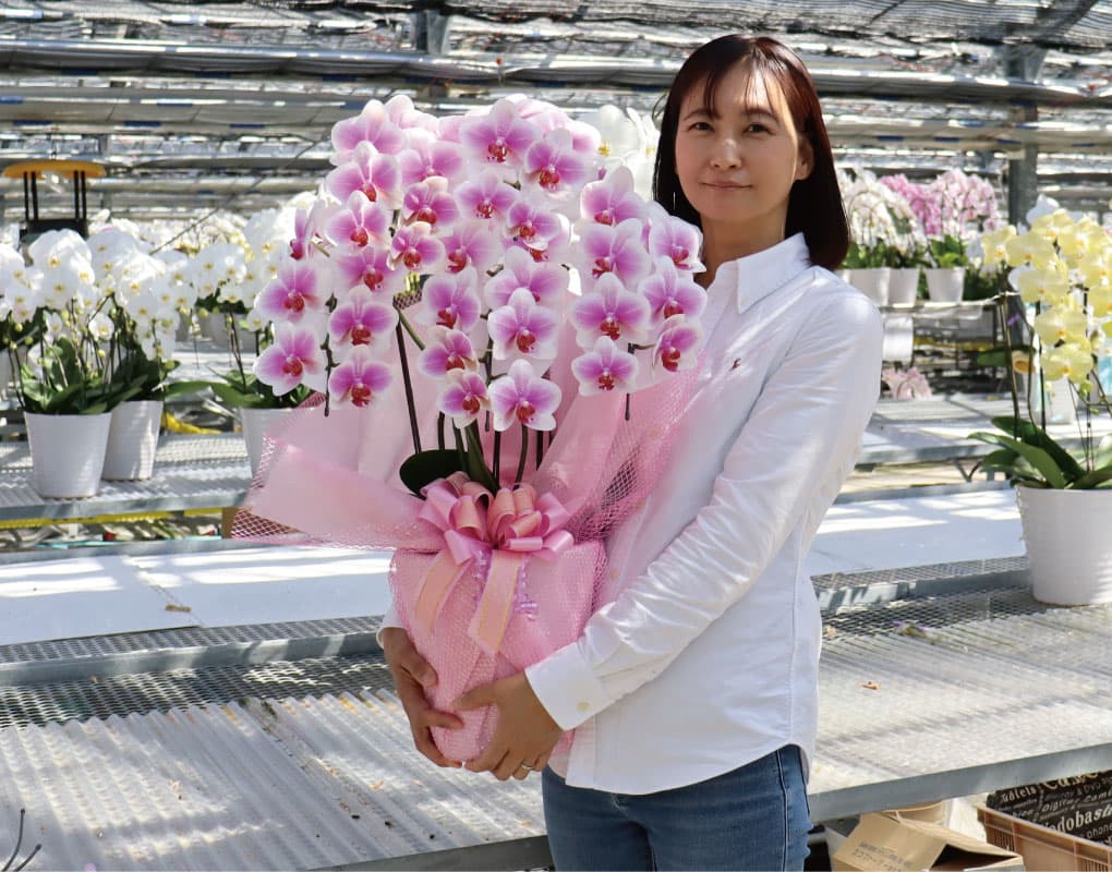 ヴィーナスの写真